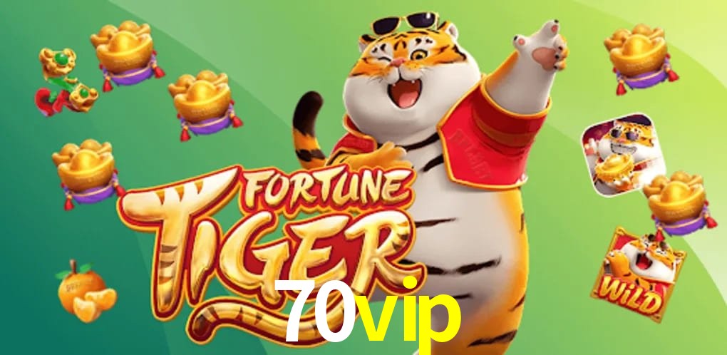Experiência VIP 70vip